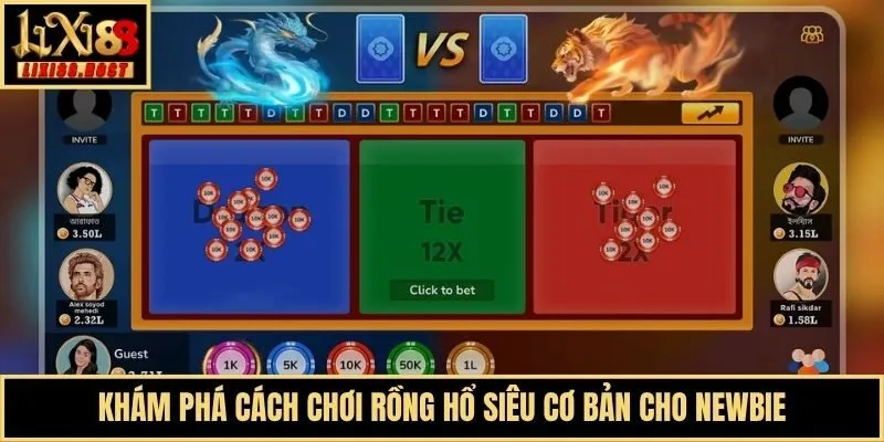 Khám phá cách chơi Rồng hổ siêu cơ bản cho newbie